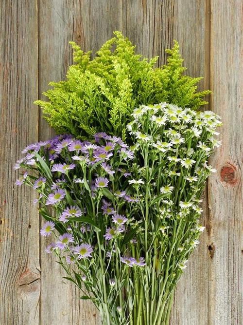 EVEN MIX OF PURPLE, SOLIDAGO & WHITE  ASSORTED ASTER